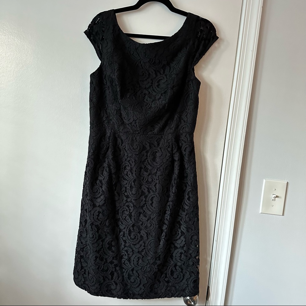 J.Crew Elsa Dress in Leavers Lace